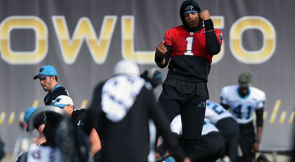 
                <strong>9. Platz: Carolina Panthers</strong><br>
                Platz 9: Carolina Panthers, 31.344 km
              