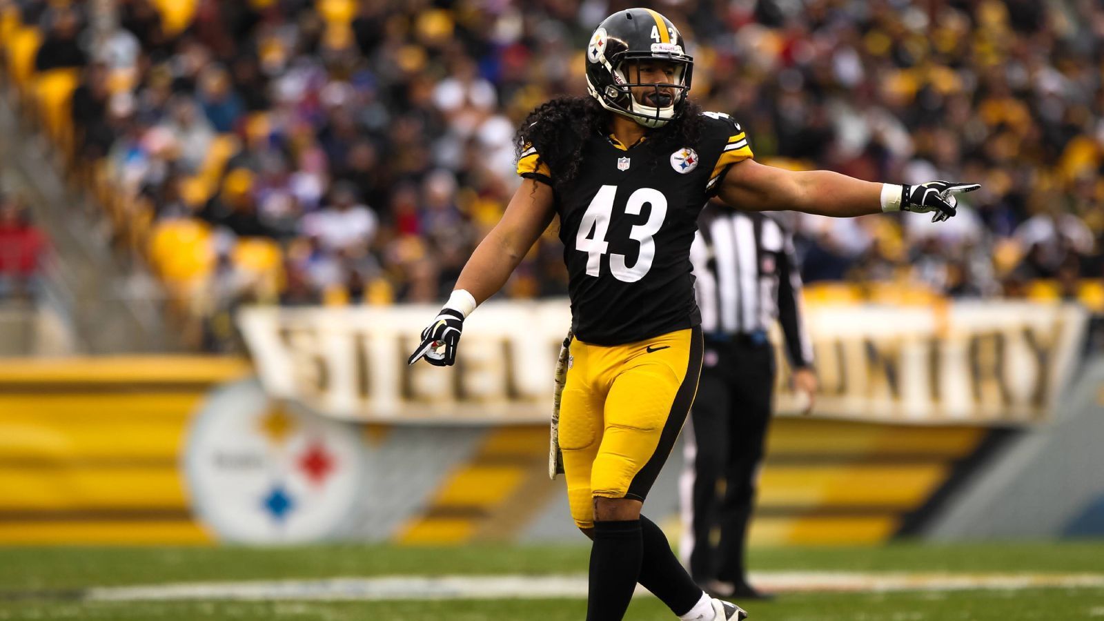 
                <strong>2020: Troy Polamalu</strong><br>
                &#x2022; Position: Defensive Back -<br>&#x2022; In der NFL: 2003 bis 2014 -<br>&#x2022; Team: Pittsburgh Steelers<br>
              