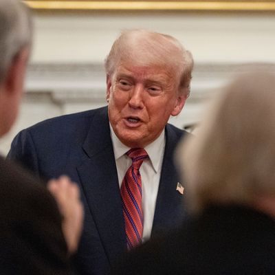 US-Präsident Donald Trump will in den Vereinigten Arabischen Emiraten festsitzende Afghan:innen aufnehmen.