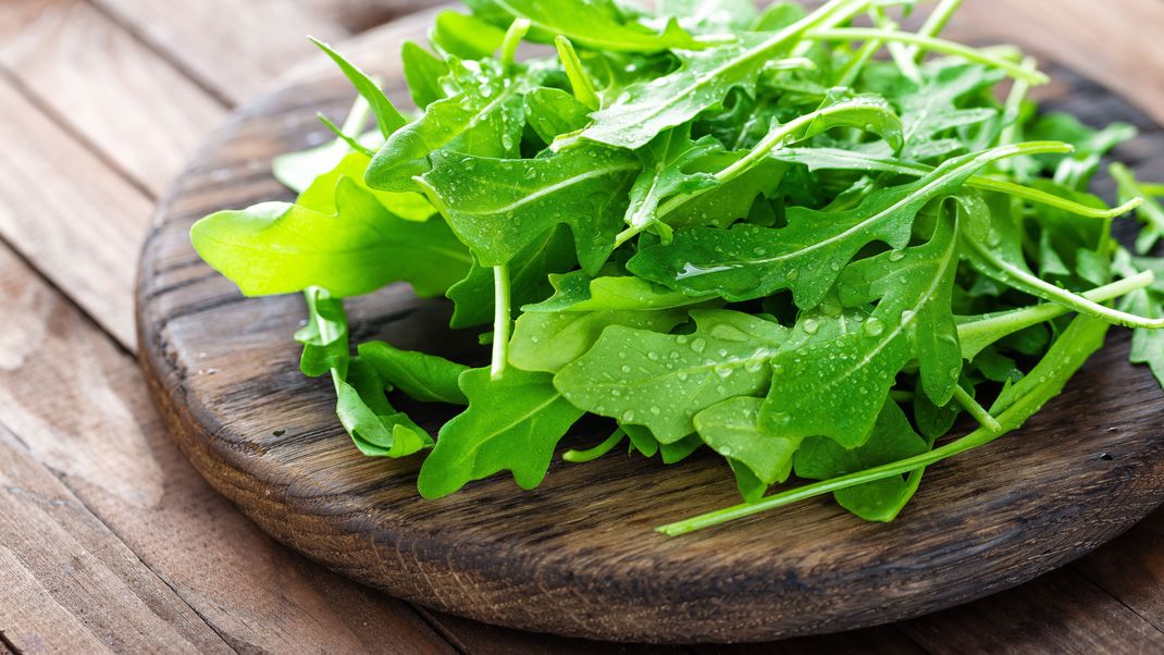 Rucola
