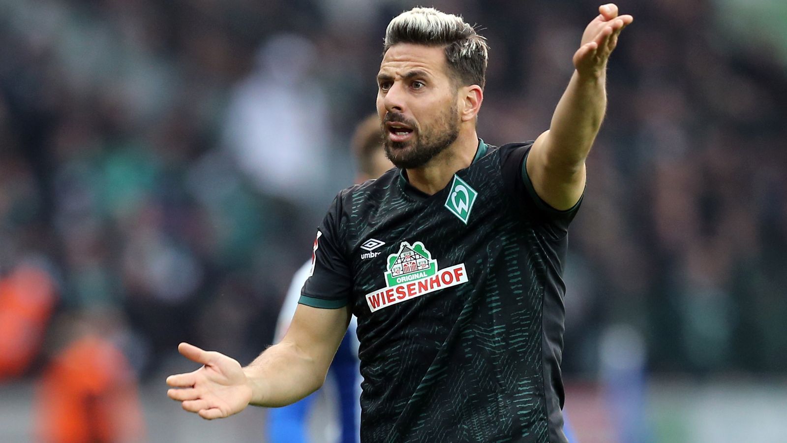 
                <strong>Peru</strong><br>
                Bundesliga-Rekordtorschütze des Landes: Claudio Pizarro - Bundesliga-Tore: 197 - Vereine: FC Bayern München, 1. FC Köln, Werder Bremen
              