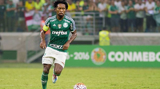 
                <strong>Ersatzbank: Ze Roberto (SE Palmeiras)</strong><br>
                Ersatzbank: Ze Roberto (SE Palmeiras). Er ist mit Abstand der älteste Spieler der Top-Elf und der einzige, der die 40 bereits knackte. Seit 2015 spielt Ze Roberto für Palmeiras in Sao Paulo, wo er noch regelmäßig zum Einsatz kommt und bereits zwei Tore erzielte. Seine erste Bundesliga-Station war 1998 Bayer Leverkusen. Später trug er das Trikot des FC Bayern und des HSV.
              