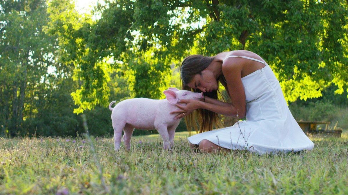 Wir haben für euch eine Liste der Cruelty Free Brands zusammengestellt!  