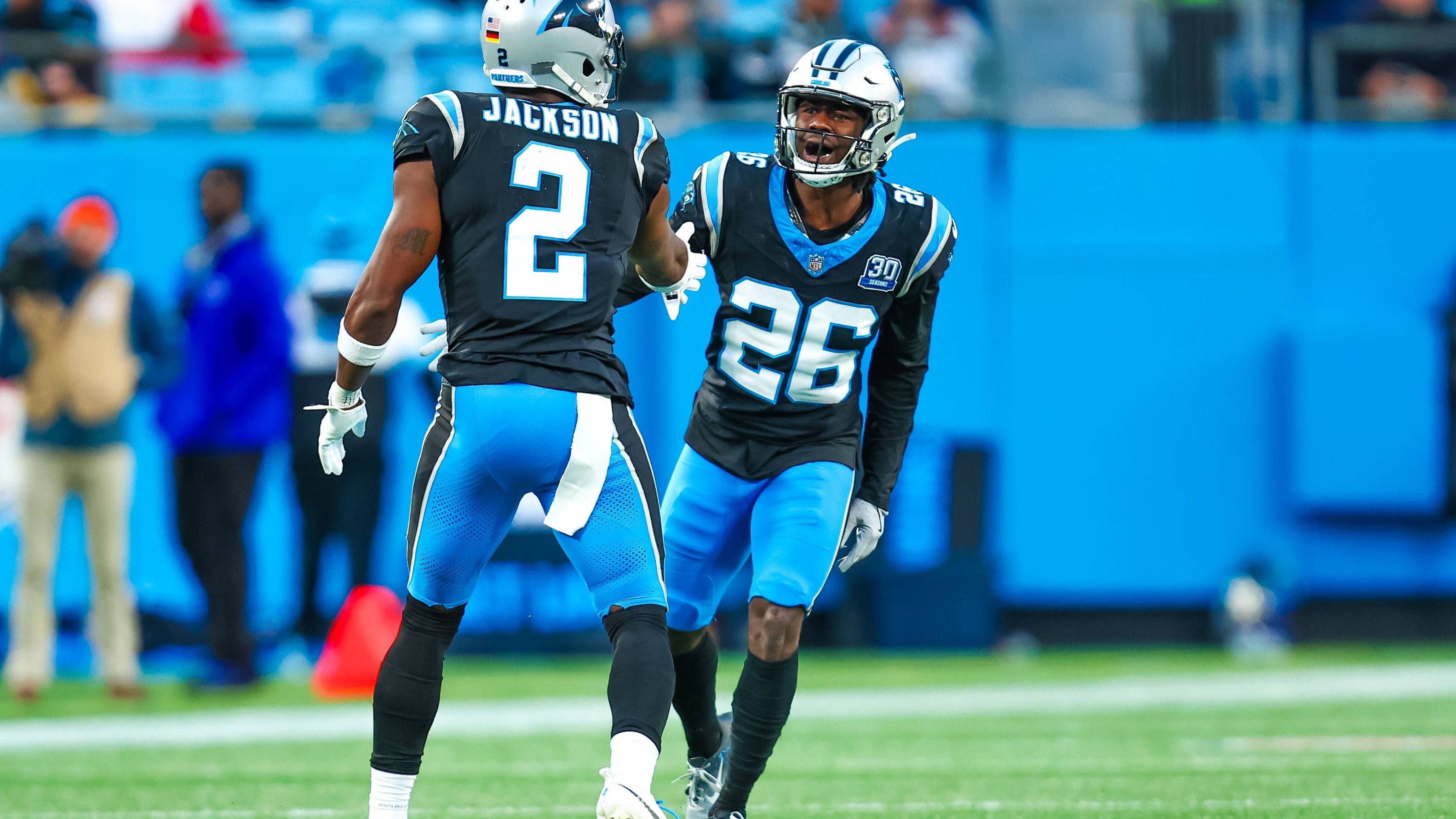 <strong>30. Platz (geteilt): Carolina Panthers</strong><br>Playoff-Teilnahmen: 8