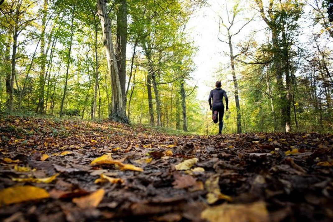 So meistert dein Immunsystem den Wetterumschwung im Herbst