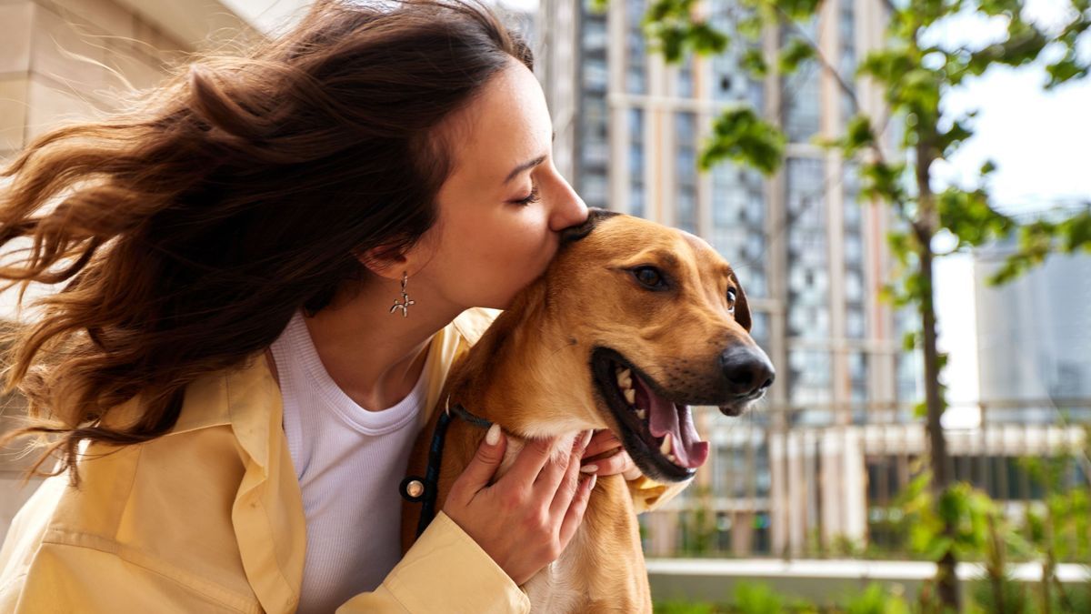 7 Wege deinem Hund Liebe zu zeigen