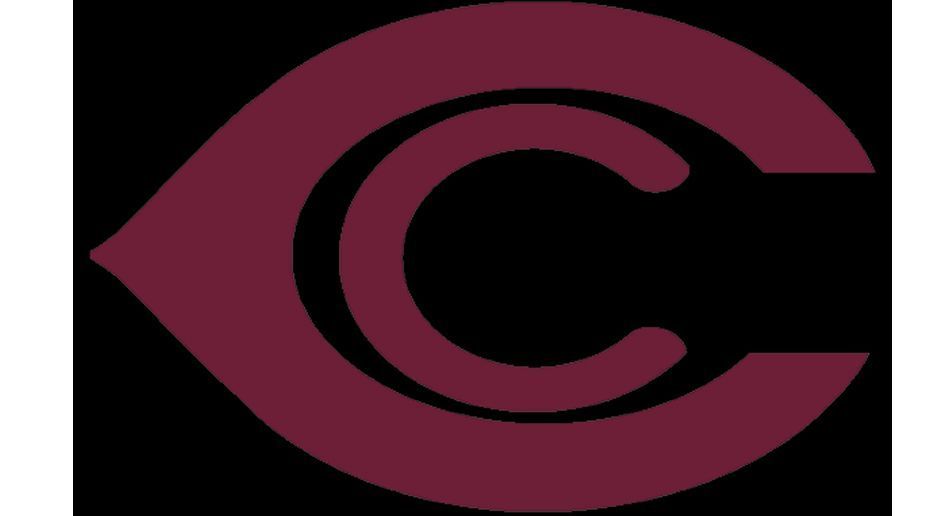 
                <strong>Chicago Cardinals</strong><br>
                Chicago Cardinals (1943): Eine Besonderheit gab es zu der Zeit auch in Chicago. Die damaligen Cardinals verloren alle zehn Saisonspiele, um sich danach für ein Jahr mit den Pittsburgh Steelers zusammen zu tun (Teamname: Card-Pitt). Doch was folgte, hätte sich keiner ausdenken können: Auch 1944 verlor die Franchise alle zehn Partien.
              