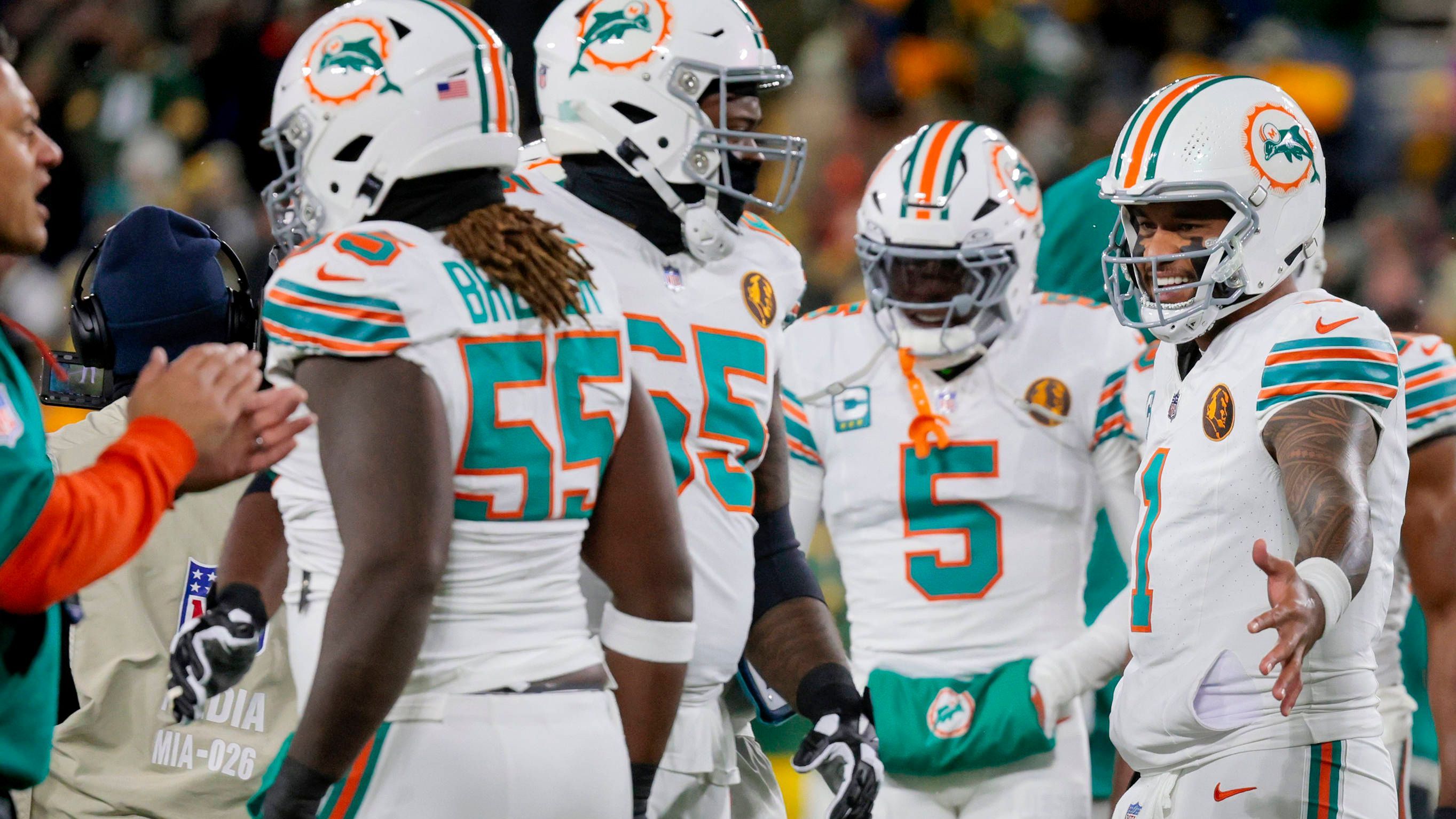 <strong>14. Platz (geteilt): Miami Dolphins</strong><br>Playoff-Teilnahmen: 25