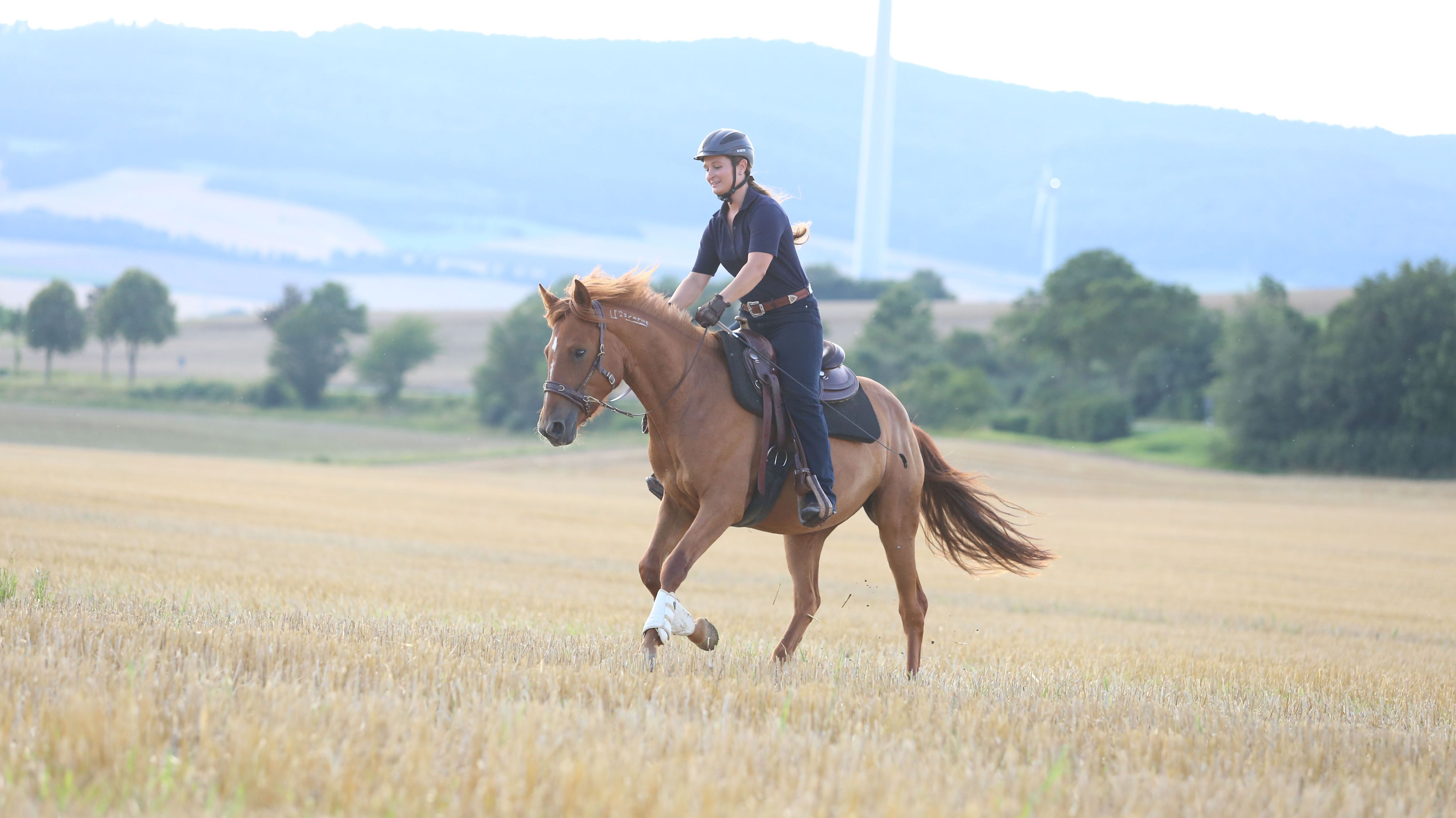 Wie in der Prärie. Der Mustang ließ sich brav einreiten und zeigte sich unerschrocken bei Ritten im Gelände.