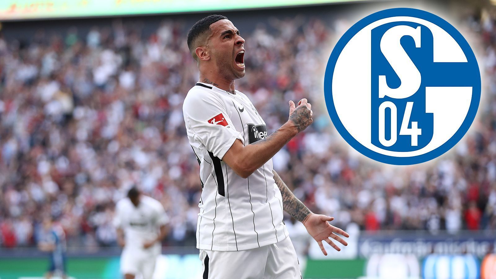 
                <strong>Omar Mascarell (Zugang FC Schalke 04)</strong><br>
                Schalke 04 hat offenbar seinen Goretzka-Ersatz gefunden. Wie die Gelsenkirchener am Donnerstag mitteilten, wird Omar Mascarell von Eintracht Frankfurt die gewünschte Verstärkung für das zentrale Mittelfeld. Der Pokalsieger unterschreibt auf Schalke einen Vertrag bis 2022. Trainer Domenico Tedesco zeigte sich in der Pressemitteilung des Klubs sichtlich begeistert vom 25-Jährigen: "Wir sind sehr froh, dass Omar Mascarell unseren Weg mitgehen will. Er ist ein Spieler, der uns gut tun wird und der seine Qualitäten schon in der Bundesliga unter Beweis gestellt hat. Omar ist lauf- und zweikampfstark und zudem spielintelligent. Ich freue mich auf die Zusammenarbeit mit ihm."
              