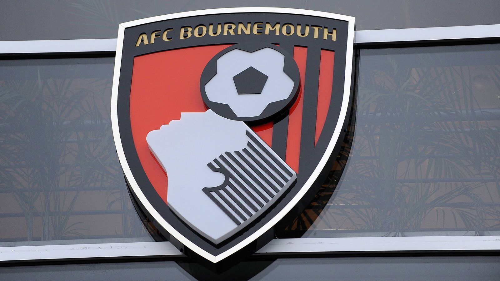
                <strong>9. Platz: AFC Bournemouth (942.000 Euro)</strong><br>
                Eigentümer: Maxim Demin (Russland)Übernahme: 2011
              