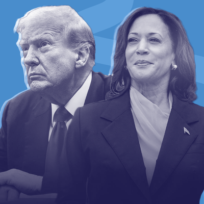 Trump Harris Deutschland