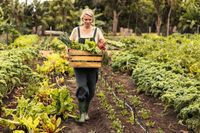 Selbstversorgergarten anlegen: Tipps zur Planung, Pflanzung, Pflege