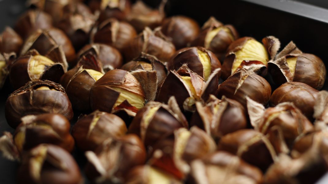 Maronen schmecken nicht nur auf dem Wintermarkt. Auch zu Hause kannst du sie als Snack in der kalten Jahreszeit oder Ergänzung zu Suppen, Salaten und Co. zubereiten. 