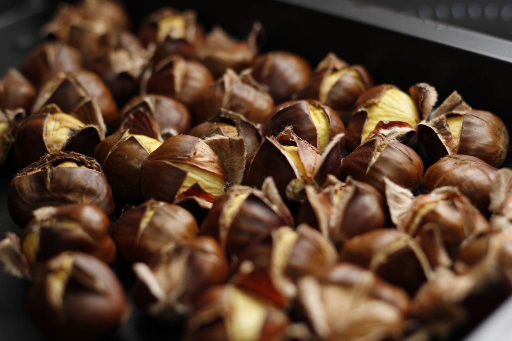 Ecco perché le castagne sono considerate così salutari