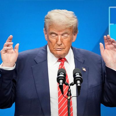 Eine ukrainische Journalistin entlockte US-Präsident Donald Trump beim Nato-Gipfel Empathie. 