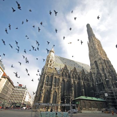 Der Stephansdom in Wien