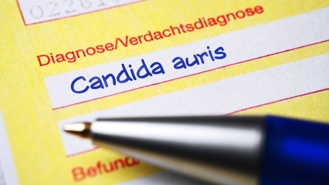Ärztlicher Überweisungsschein mit Diagnose Candida auris.