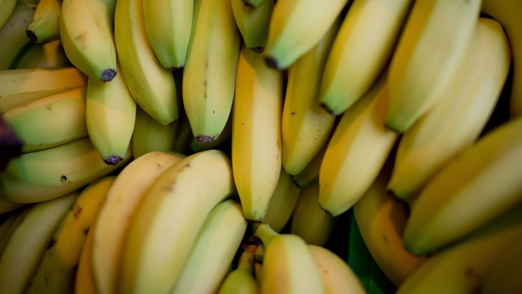In mehreren Supermärkten in Berlin und Brandenburg wurden große Mengen Drogen in Bananenkisten entdeckt.