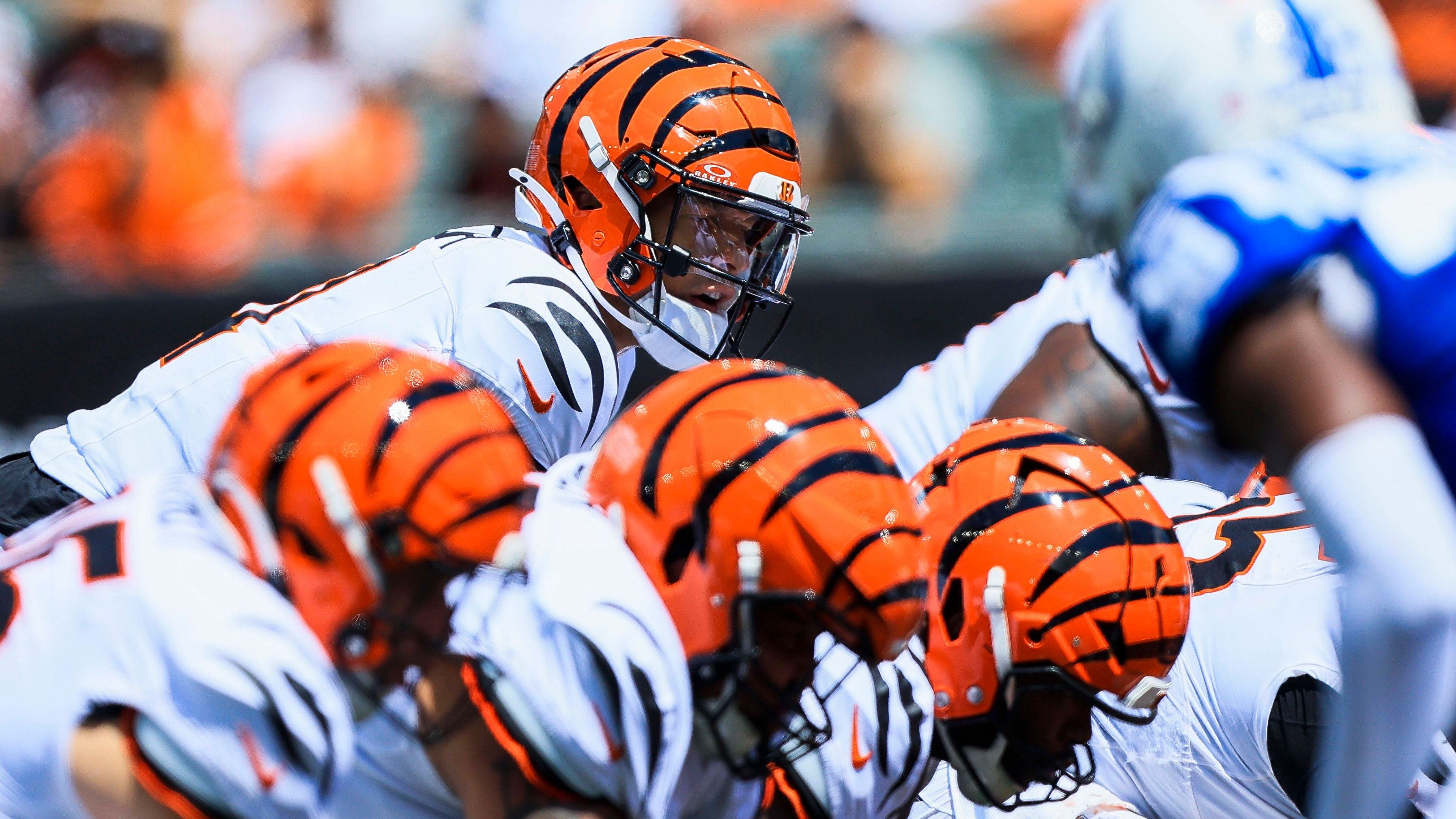 <strong>Cincinnati Bengals</strong><br>- noch offen -