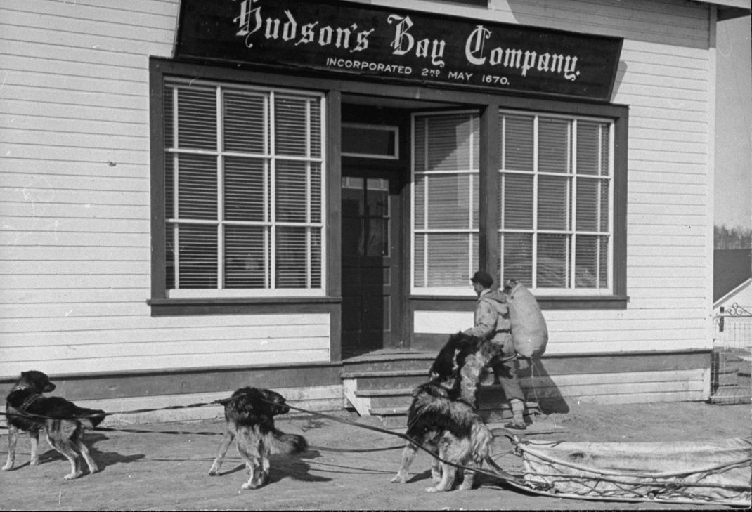 Ein Trapper bringt Felle zu einem Handelsposten der Hudson's Bay Company.