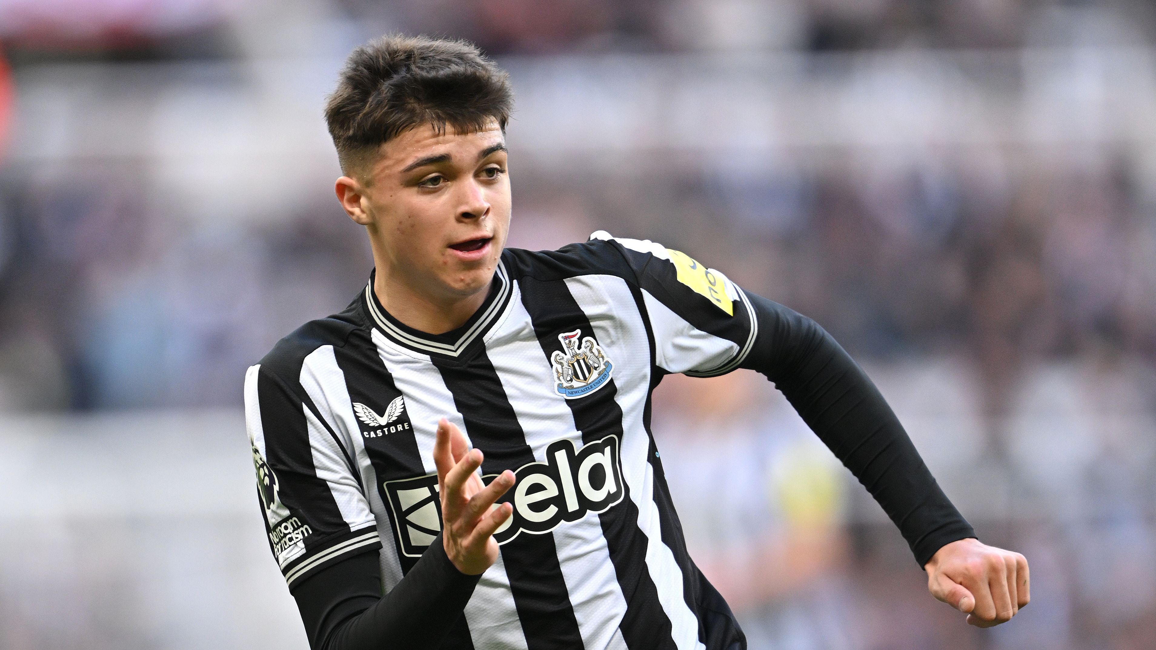 <strong>Platz 17: Newcastle United<br></strong>Umsatz 2022/23: 288 Millionen Euro (+76 Millionen zur Vorsaison)
