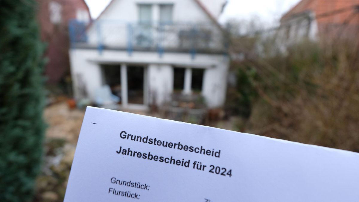 Im Streit um die Zahlung der neuen Grundsteuer rät der Chef des Eigentümerverbandes Haus und Grund, Warnecke, zum Warten auf die neuen Bescheide. 