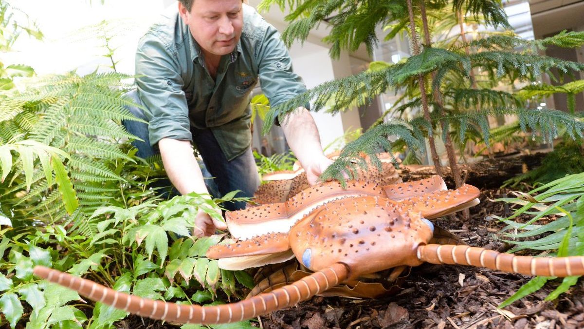 Urzeit Tausendfussler Arthropleura Picture Alliance 55802653