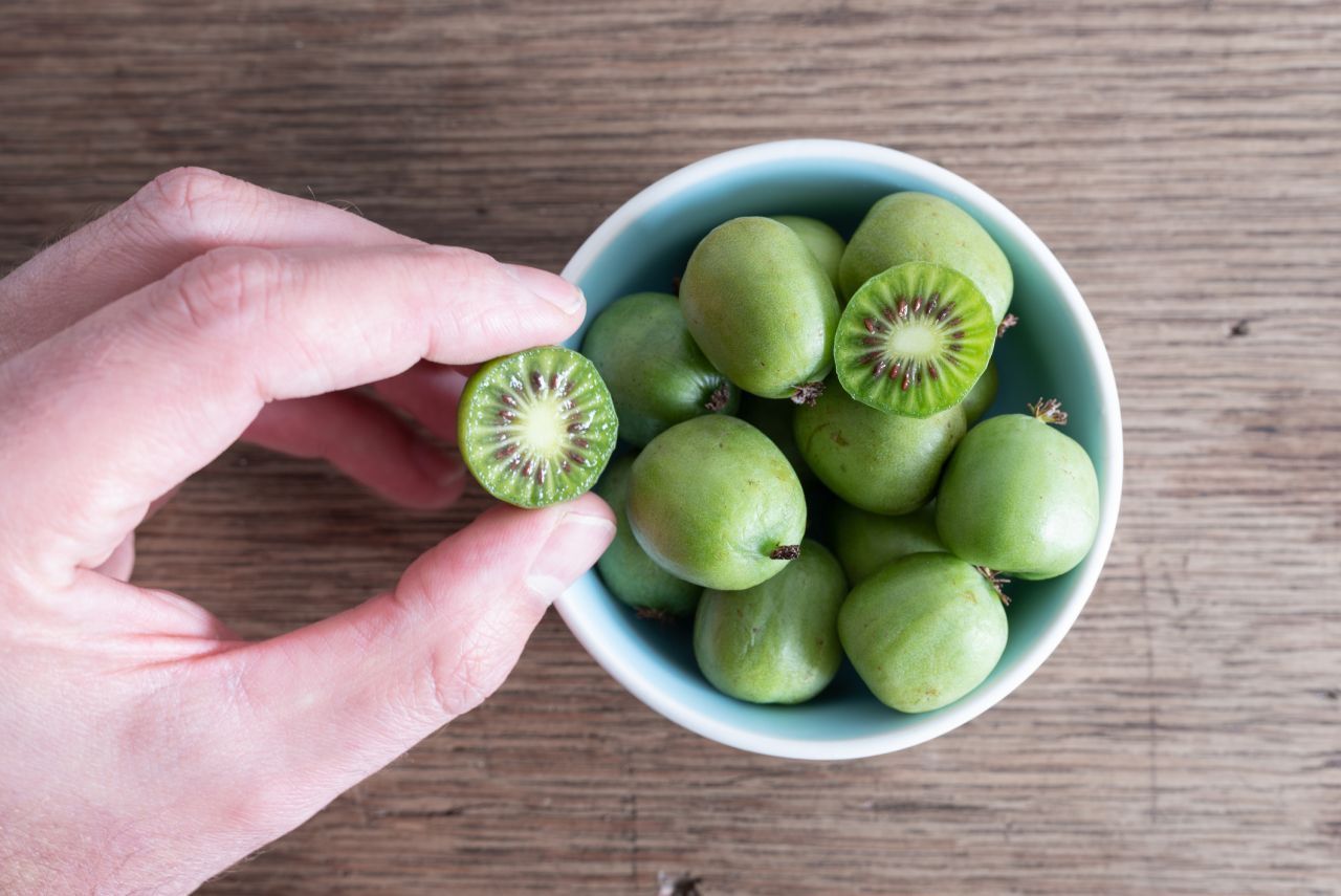 Übrigens: Kennst du auch die Kiwi-Beere aus Ost-Asien, die "kleine Schwester" der Kiwi? Sie ist nur zwei bis drei Zentimeter klein, hat eine weiche Schale zum Mitessen und schmeckt angenehm mild und süß.