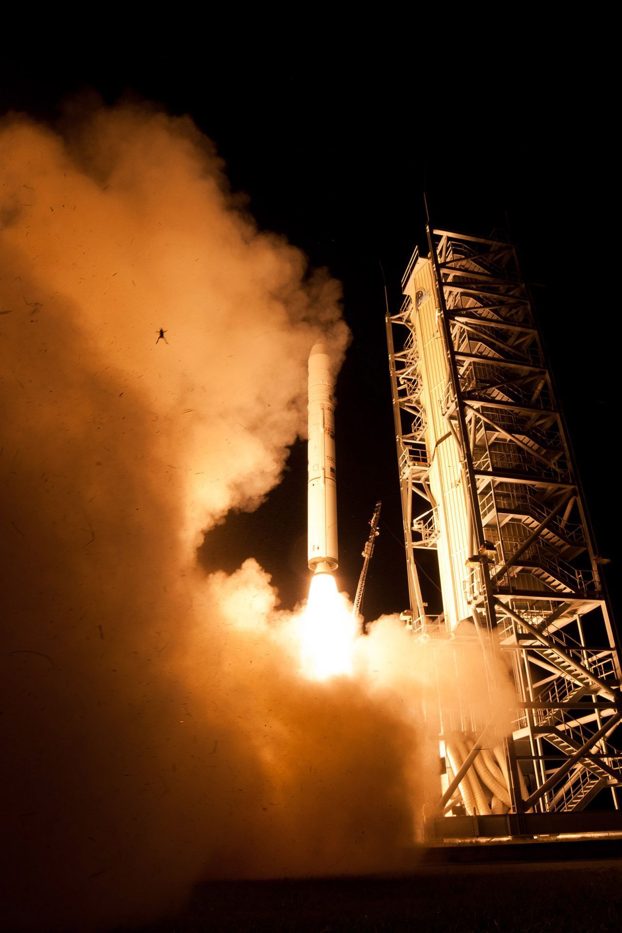 In der Raumfahrt schafft es nicht jeder ins All – das gilt auch fürs Tierreich. Beim Start einer Minotaur-V-Rakete 2003 erfasste eine NASA-Kamera einen Frosch. Ob er ihn im letzten Augenblick der Mut verließ und er von der Rakete hüpfte, oder einfach aus Schreck in die Höhe hüpfte ist unbekannt. 