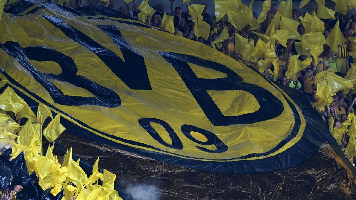 Der BVB bezieht Stellung zu den Medienberichten