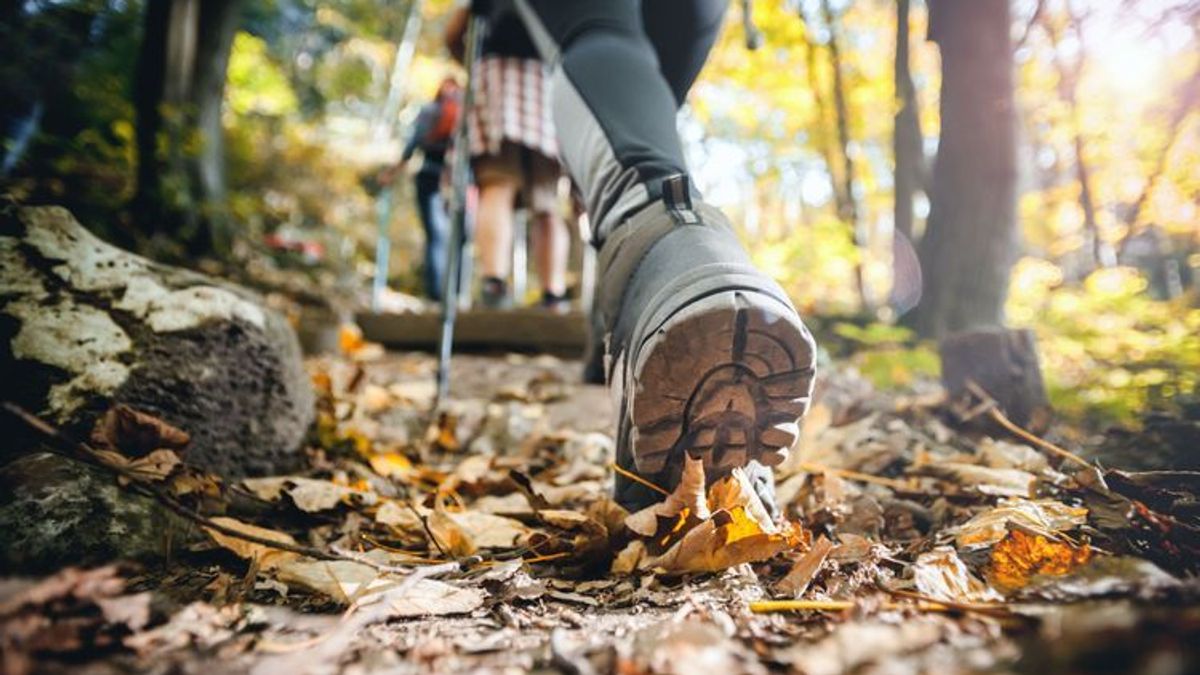 Auf diesen Wanderwegen genießt du Deutschlands Natur im Herbst
