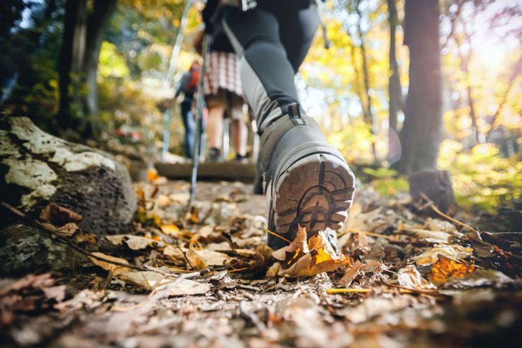 Auf diesen Wanderwegen genießt du Deutschlands Natur im Herbst