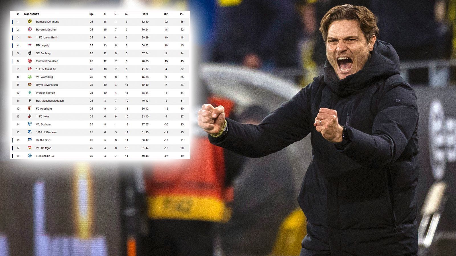 
                <strong>Tabelle 25. Spieltag</strong><br>
                Jubel beim BVB! Durch den eigenen Sieg und den Ausrutscher der Bayern in Leverkusen klettert Borussia Dortmund mit nun 55 Punkten an die Tabellenspitze. Im Keller belegen die Schalker den letzten Platz und haben vier Zähler Rückstand auf das rettende Ufer.
              