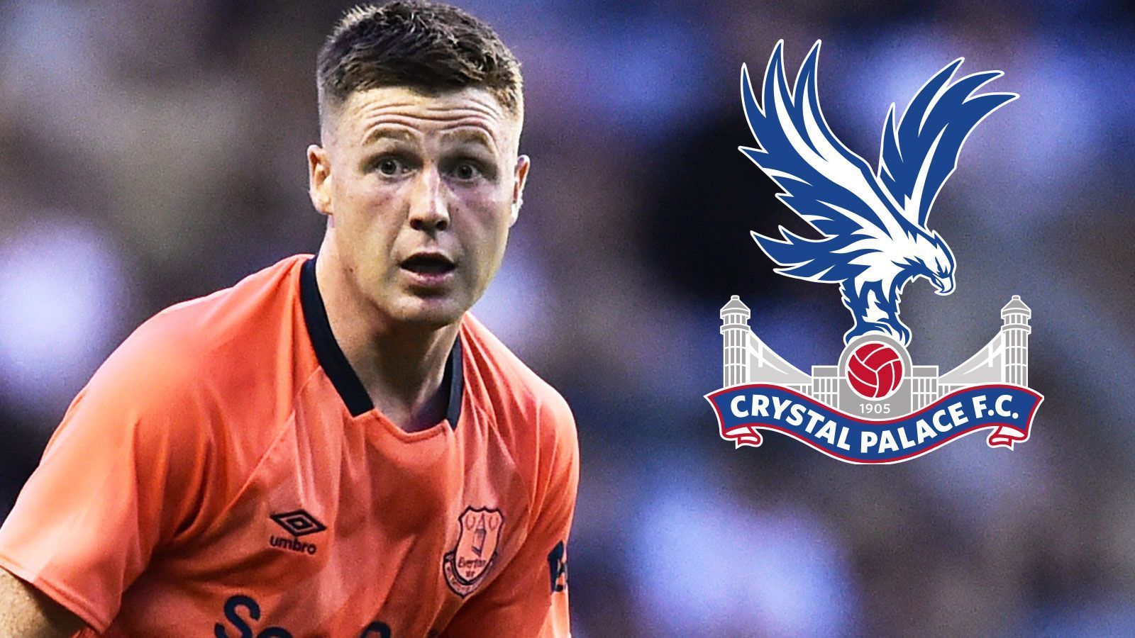 
                <strong>Crystal Palace</strong><br>
                Gesamtausgaben: 7,6 Millionen EuroTeuerster Einkauf: James McCarthy (3,3 Millionen Euro)
              