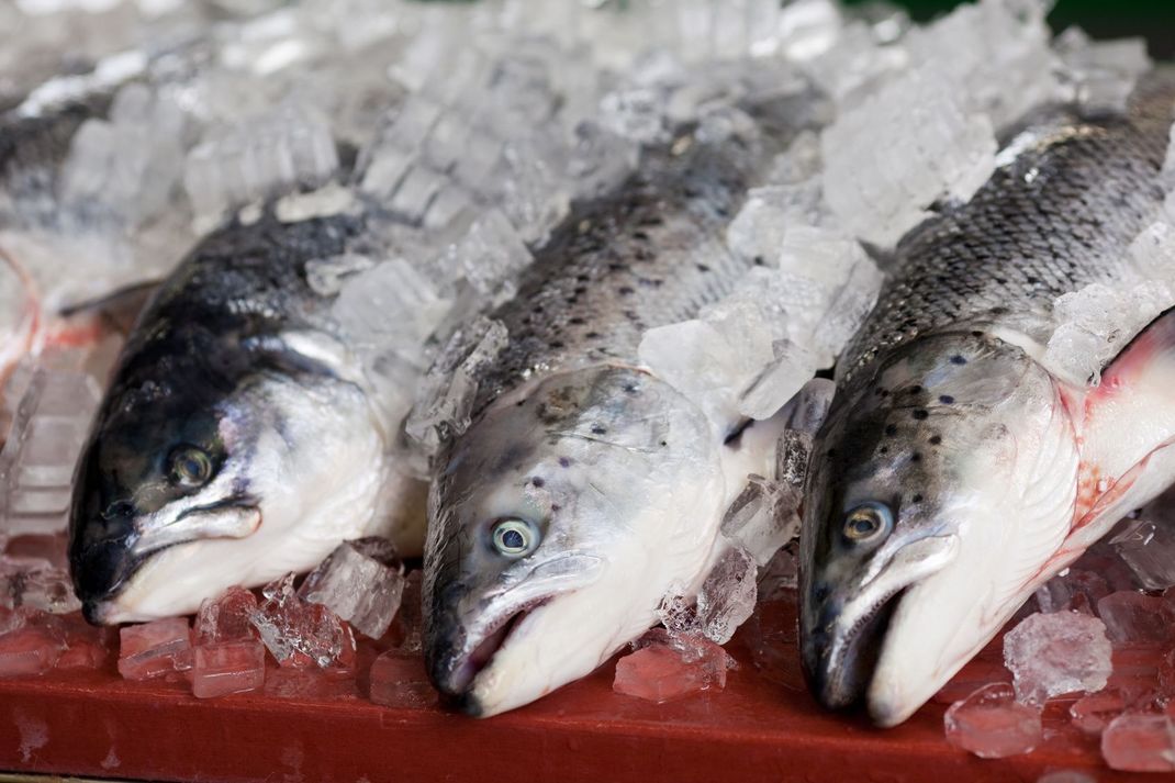 Pralle Augen, glänzende Haut, glatte Schuppen: Gute Indizien, dass der Lachs frisch ist.