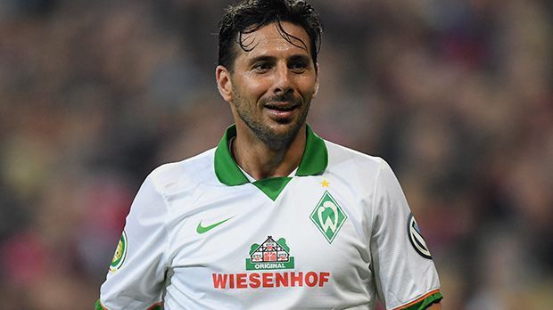 
                <strong>Angriff: Claudio Pizarro (SV Werder Bremen)</strong><br>
                Angriff: Claudio Pizarro (SV Werder Bremen). Ballermann, Hoffnungsträger, Spielmacher: Claudio Pizarro spielt mit seinen 37 Jahren für Werder Bremen eindrucksvoller denn je. Die Bremer Lebensversicherung schoss in den letzten 13 Spielen für Werder 14 Tore. In der Rückrunde erzielte lediglich Top-Torjäger Robert Lewandowski mehr Treffer. Ans Aufhören denkt der Peruaner deshalb noch lange nicht.
              