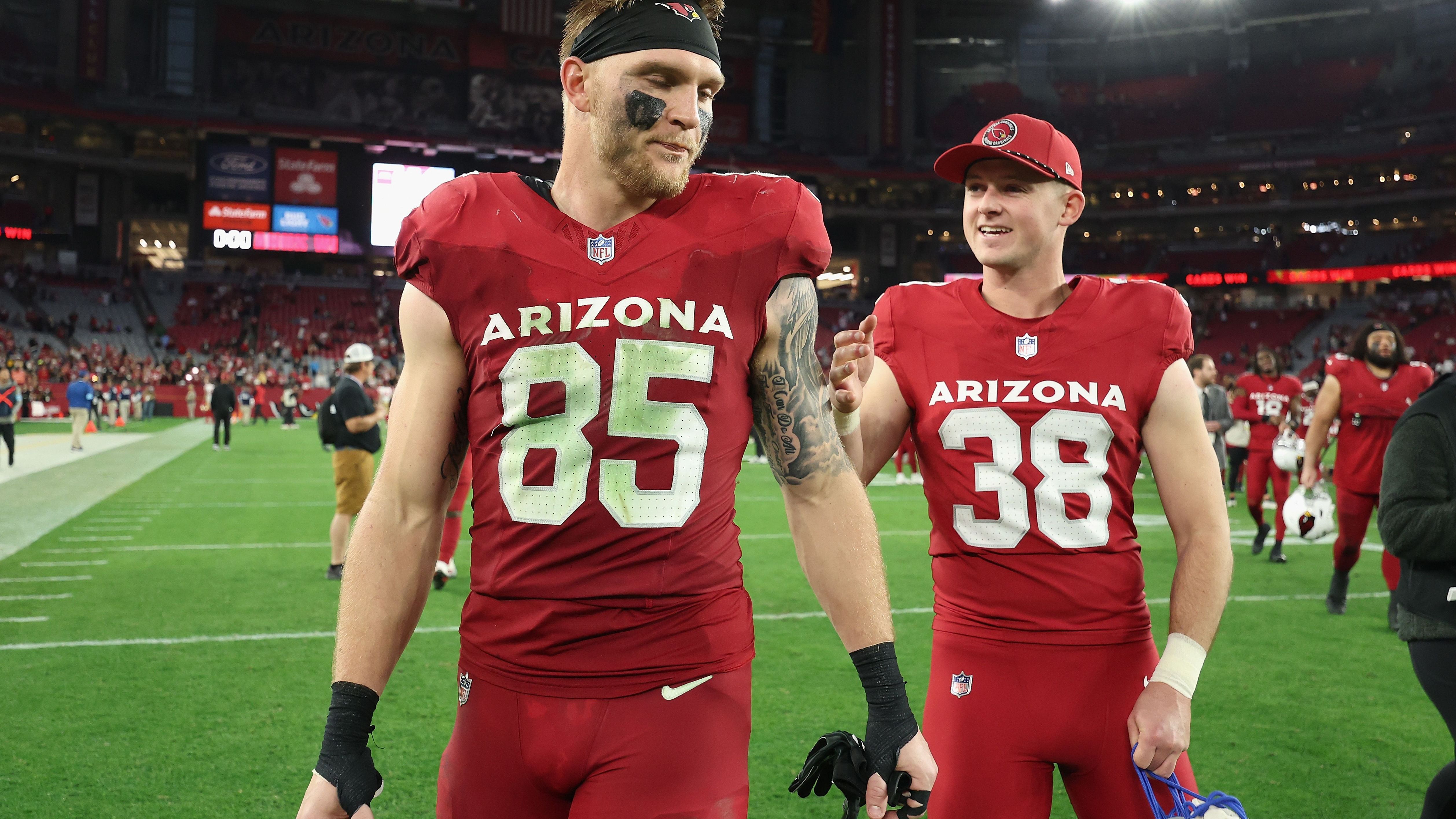 <strong>Arizona Cardinals</strong><br>Record am Ende der Saison: 8-9