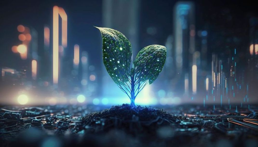 Klimawandel: Wie Städte in Zukunft gebaut werden sollen - Neue Studie