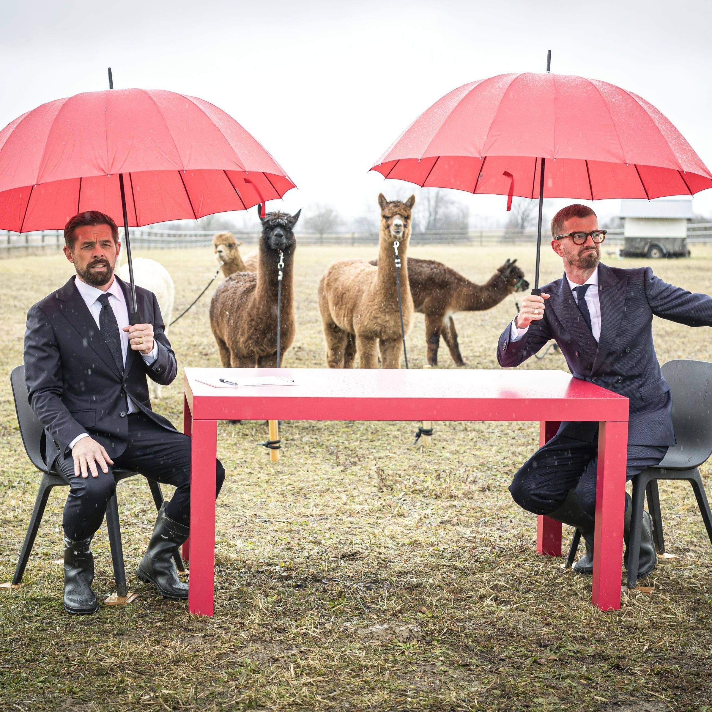 "Ein sehr gutes Quiz": Wo findet die Live-Show mit Joko & Klaas heute statt?
