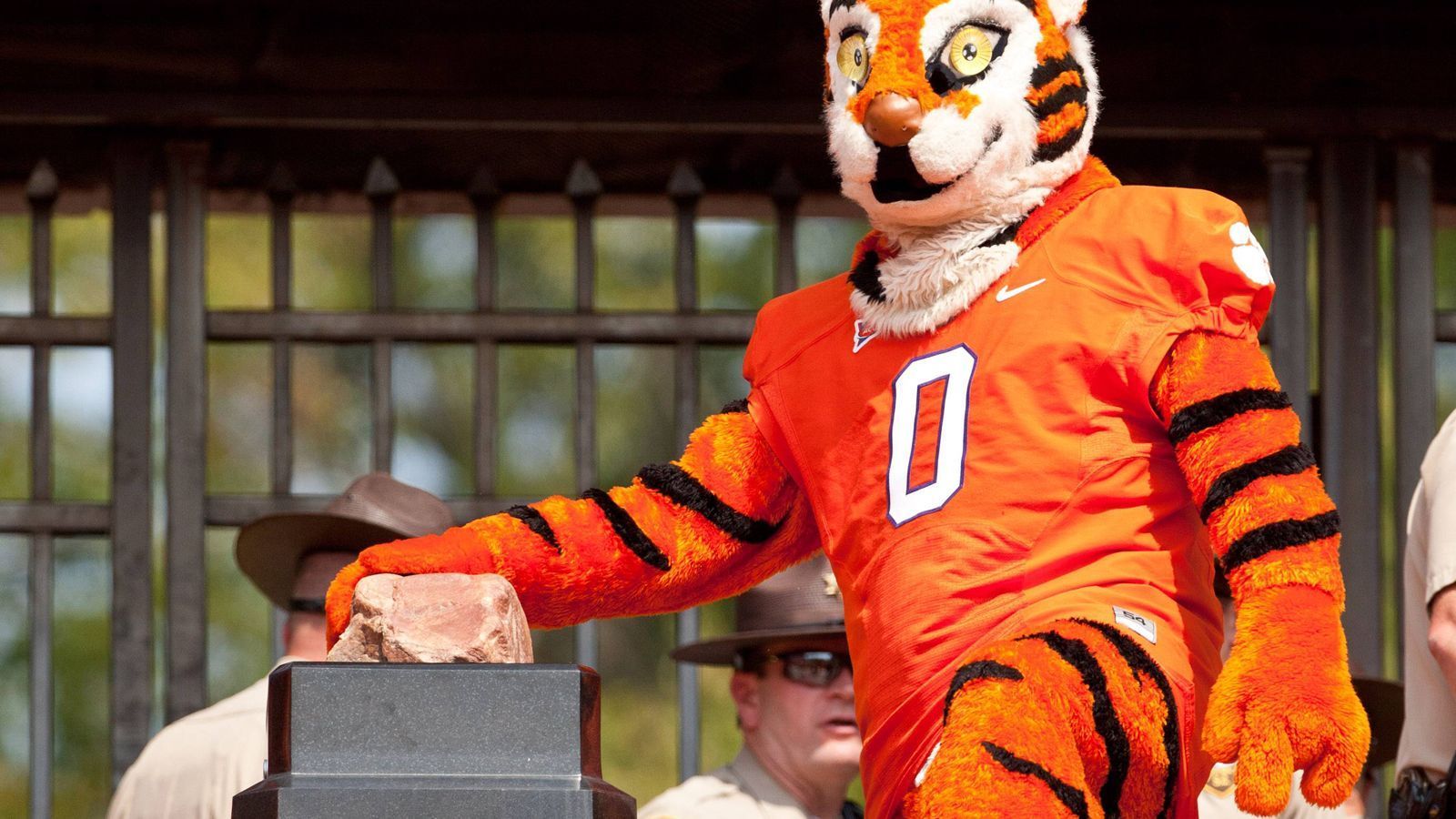 
                <strong>Ein Stein als Glücksbringer</strong><br>
                Zwar spielen die Tigers am Samstag bei den Cardinals, aber der Einlauf des Footballteams ins eigene Stadion ist dadurch nicht weniger sehenswert. Mit einem Teambus fahren die Spieler außen an der Stadionmeile zu einem Hügel, um dort den sogenannten Howard's Rock zu streicheln. Der nach dem ehemaligen Coach Frank Howard benannte Stein soll den Spielern der Tigers mystische Kräfte verleihen.
              