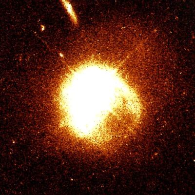 Bilder von Quasaren, aufgenommen vom Hubble Space Teleskop.