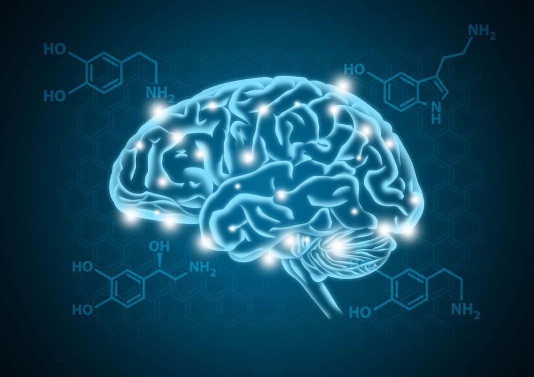 Biochemische Reaktionen von Neurotransmittern im Gehirn