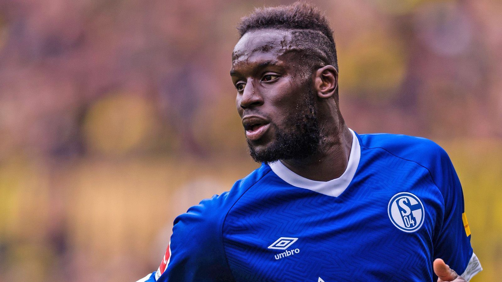 
                <strong>Salif Sane (FC Schalke 04)</strong><br>
                Nationalmannschaft: SenegalLänderspiele: 29Länderspieltore: 0Position: Innenverteidiger
              