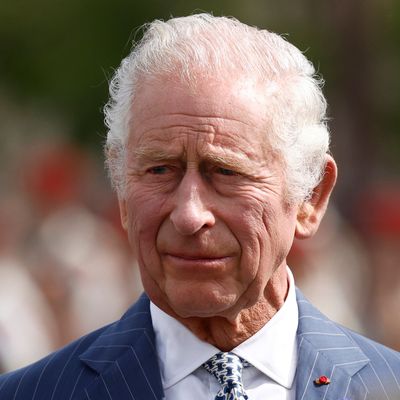 König Charles III. bei einer Zeremonie am Arc de Triomphe.