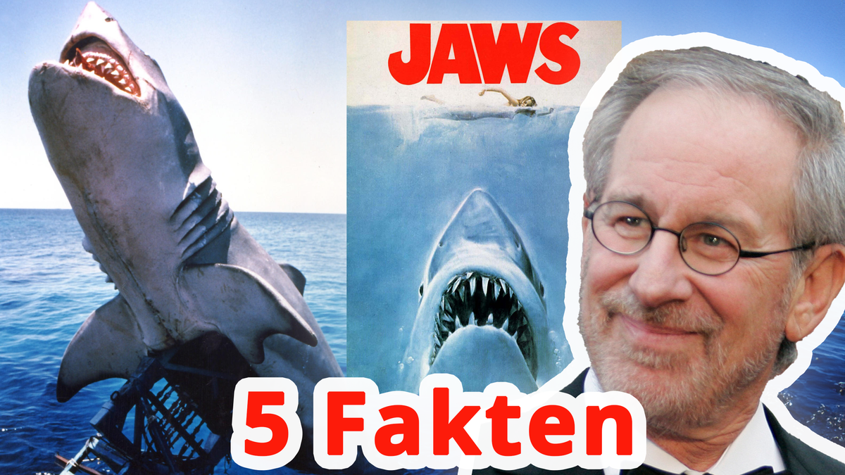 5 Fakten "Der weiße Hai"