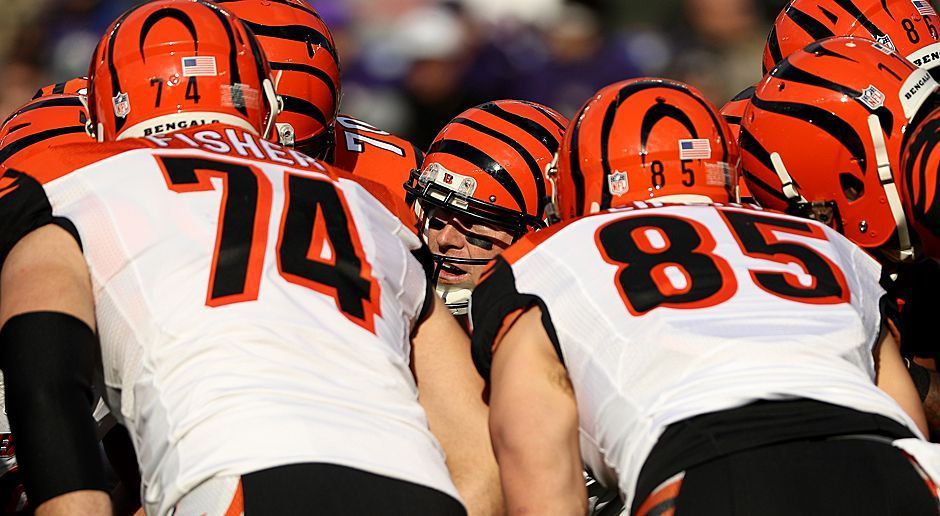 
                <strong>Platz 29: Cincinnati Bengals</strong><br>
                44,9 % (115 - 141 - 0).
              