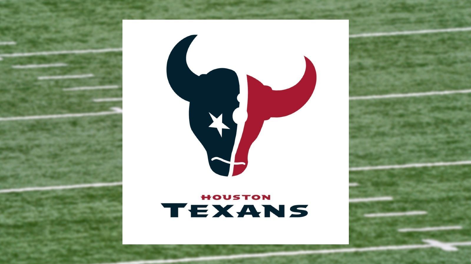 
                <strong>Houston Texans</strong><br>
                Pokemon: Tauros
              