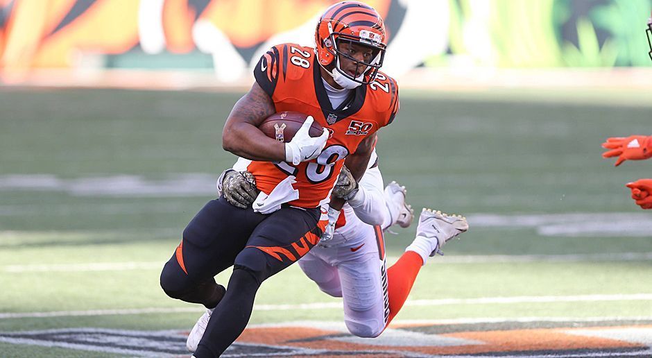 
                <strong>Joe Mixon (Running Back, Cincinnati Bengals)</strong><br>
                Apropos gestärkte O-Lines - davon dürfte auch Bengals-Running-Back Joe Mixon fröhlich ein Liedchen singen. Der 21-Jährige erarbeitete sich als Rookie in der vergangenen Saison mit zunehmendem Saisonverlauf die Starter-Rolle und produzierte in den letzten Spielen hinter einer verheerenden O-Line auch immer bessere Stats. Jetzt hat Cincinnati mit Cordy Glenn und Billy Price die O-Line teuer wie ambitioniert verstärkt und mit Jeremy Hill einen vermeintlichen Konkurrenten ziehen lassen. Alles bereit für Joe Mixon!
              