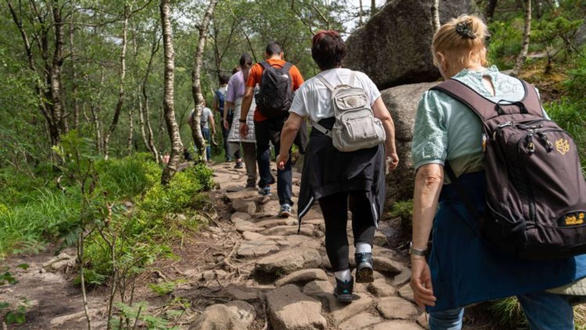 Kalorienverbrauch beim Wandern berechnen